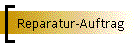 Reparatur-Auftrag